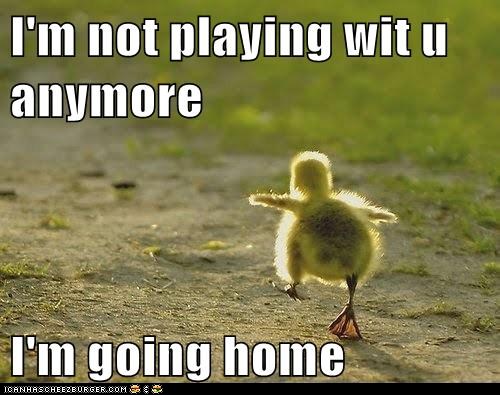 funny-animal-captions-007