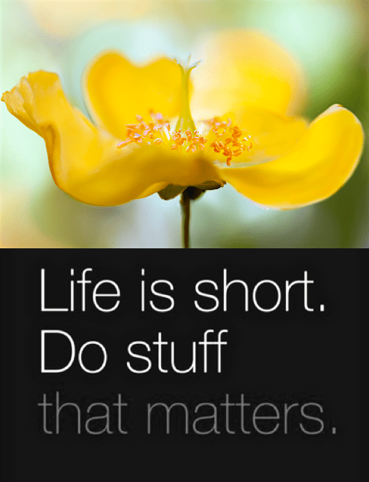 Screen Shot 2016-08-11 at 10.21.00 PM.png