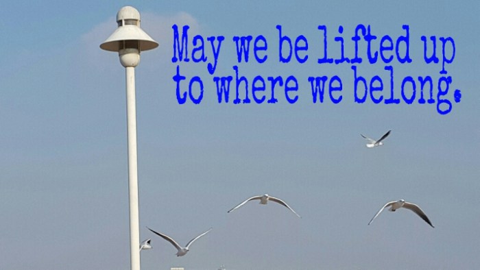 Where we belong, Inspiration, Life, Adventure, Transformation