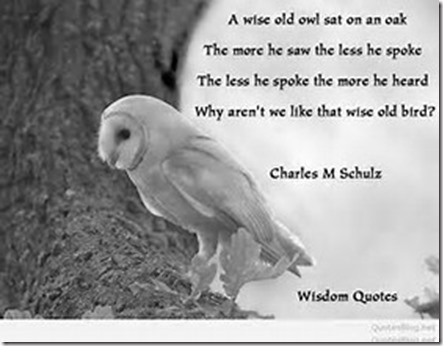 A Wise Old Owl