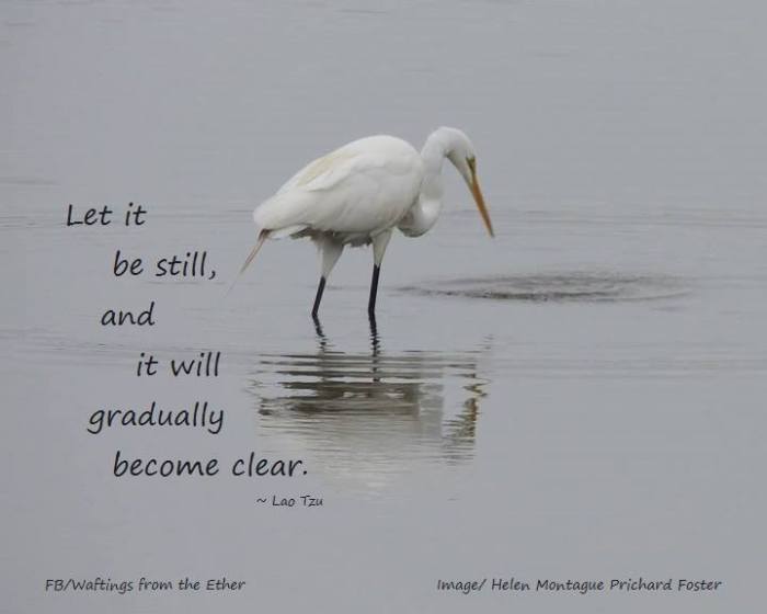 28166638_924518234380181_7883013521271993805_n