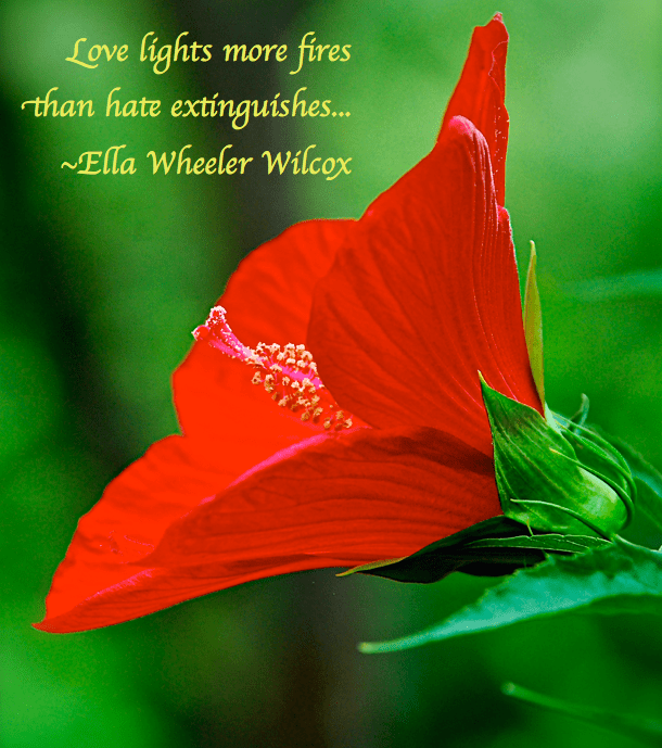 Screen Shot 2018-02-20 at 8.50.29 PM.png