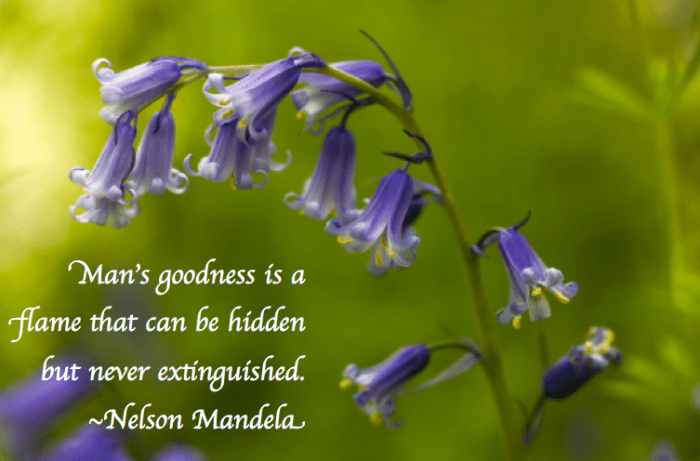 Screen Shot 2018-03-15 at 10.59.58 PM.png