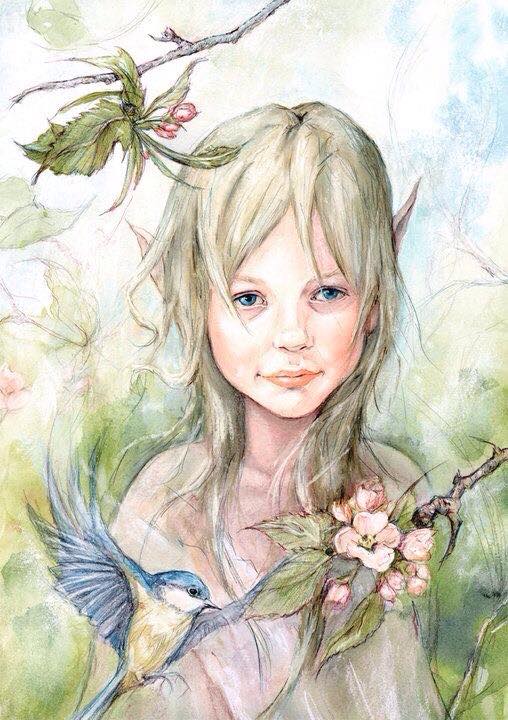 27658028_943308385847230_1555601276448030763_n