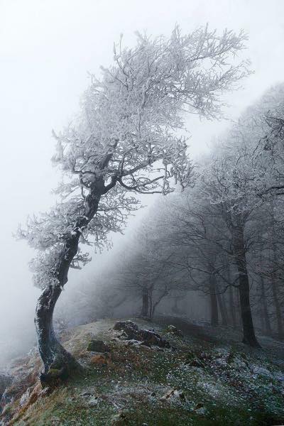 48372039_1990123951056757_263197691842920448_n