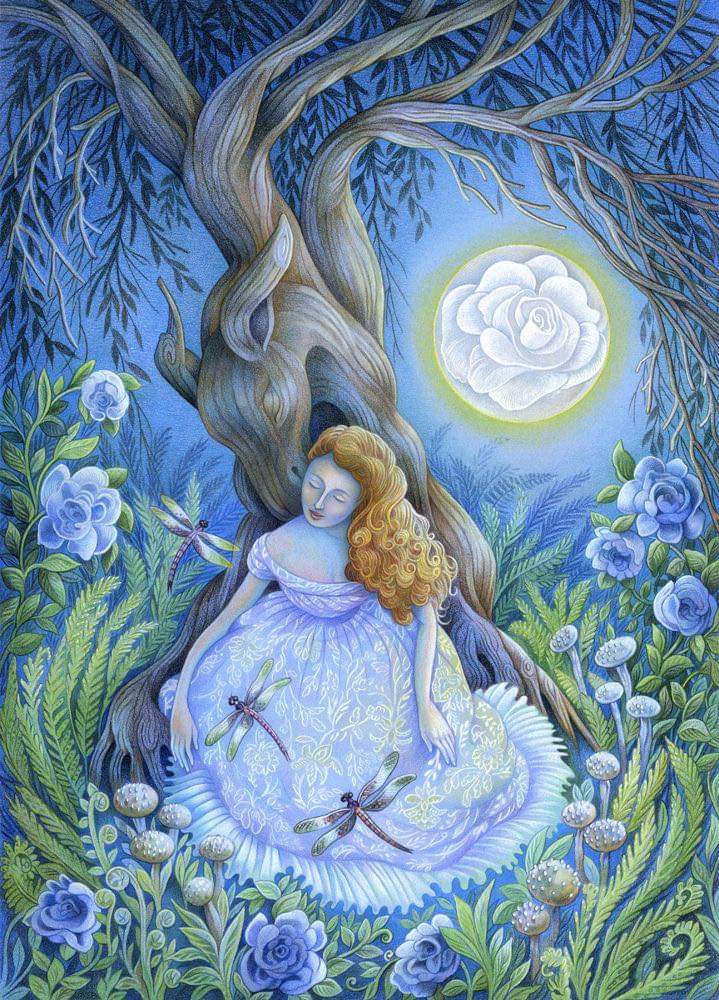 FB_IMG_1597241170294